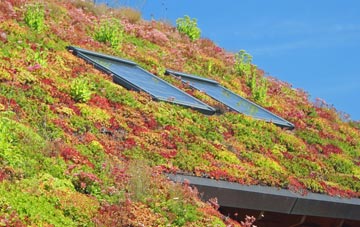 Kirkton Of Craig living roof systems
