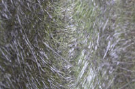 Kirkton Of Craig fibreglass roof work